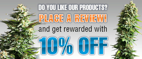 Recieve 10% discount for your review! Recieve 10% discount on your cannabis seeds order after placing a review