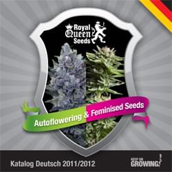 German Royal Queen Seeds feminized cannabis seeds catalogue