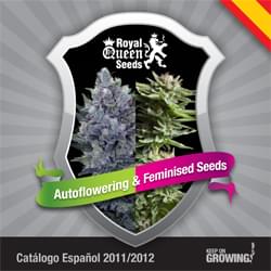Spanish Royal Queen Seeds feminized cannabis seeds catalogue