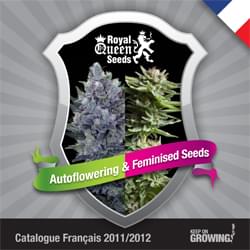 French Royal Queen Seeds feminized cannabis seeds catalogue