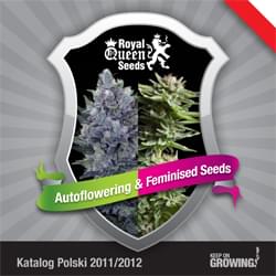 Polish Royal Queen Seeds feminized cannabis seeds catalogue