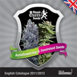 English Royal Queen Seeds feminized cannabis seeds catalogue