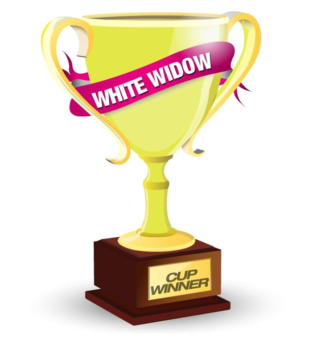 Royal Queen Seeds White Widow Cannabis Cup Winner