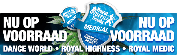Medicinale cannabis zaden