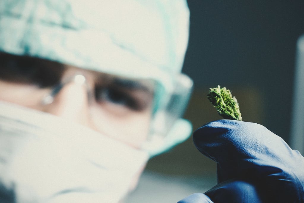 Marijuana and Cancer: What Does the Research Say?