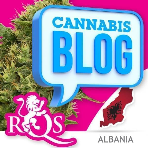 Cannabis in Albania