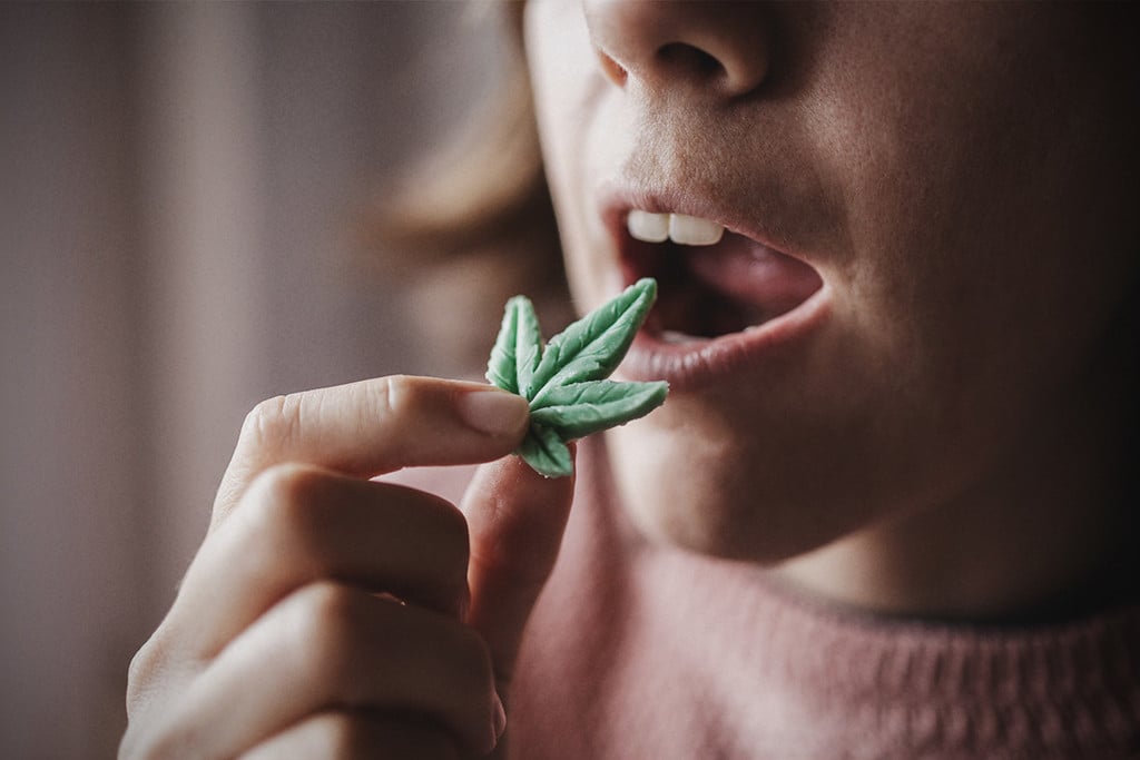 Cannabis and Anorexia: What We Know So Far