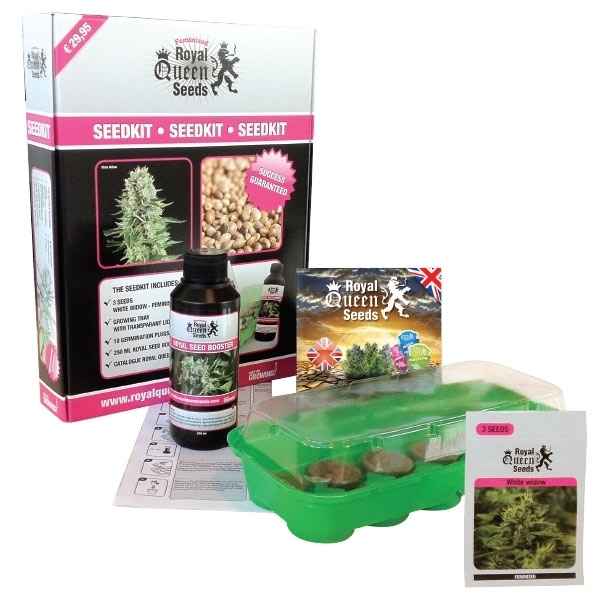 Starters Kit Autoflowering Cannabis Seeds Royal Queen Seeds