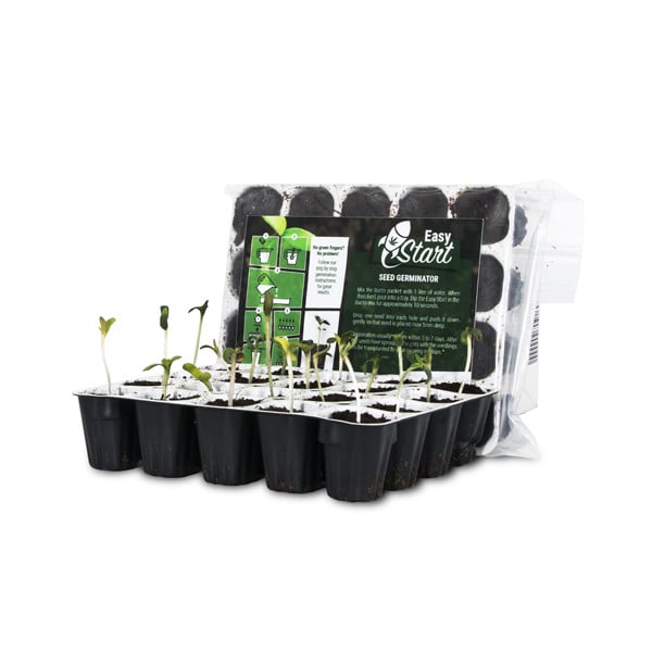 Easy Start Cannabis Seeds - Royal Queen Seeds