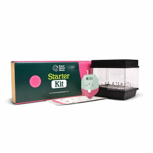 Starter Kit Feminized