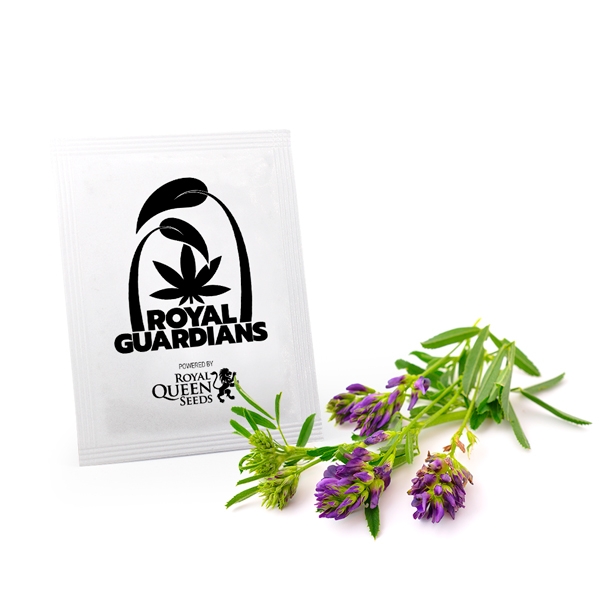 Alfalfa Seeds - Companion Planting - Royal Queen Seeds