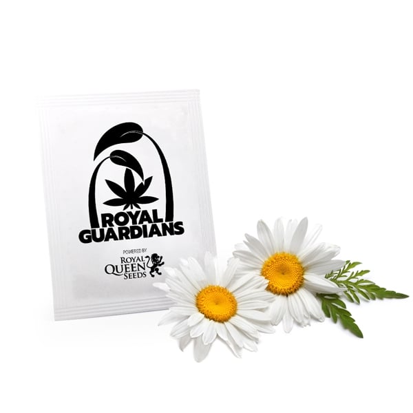 The Greatest Guide To What Do Chamomile Seeds Look Like