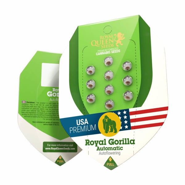 Royal Gorilla Glue Strain 🦍 Cannabis Seeds - Royal Queen Seeds USA