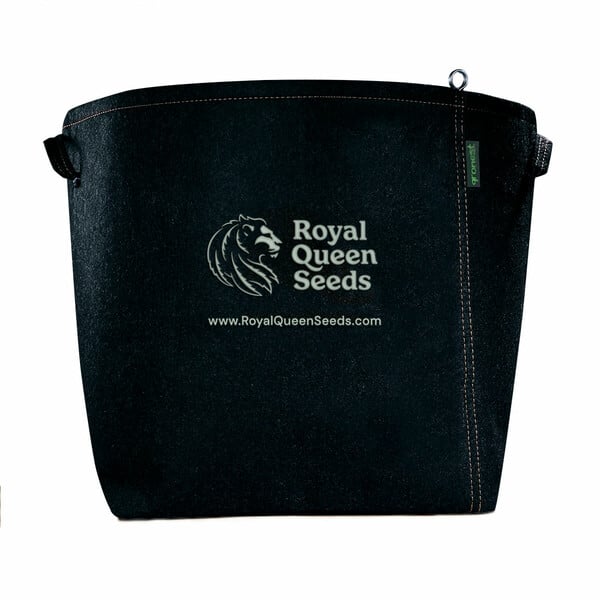 Filtres pour Joints Réutilisables Royal Queen Seeds – Pack de 10 - Royal  Queen Seeds