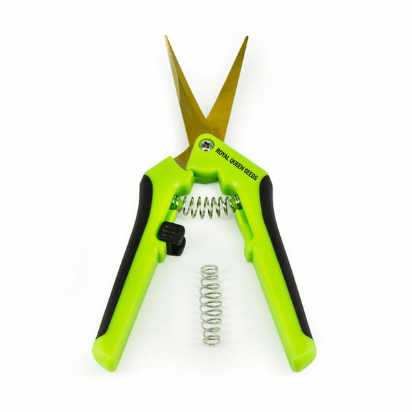 Curved Trimming Scissors - Royal Queen Seeds