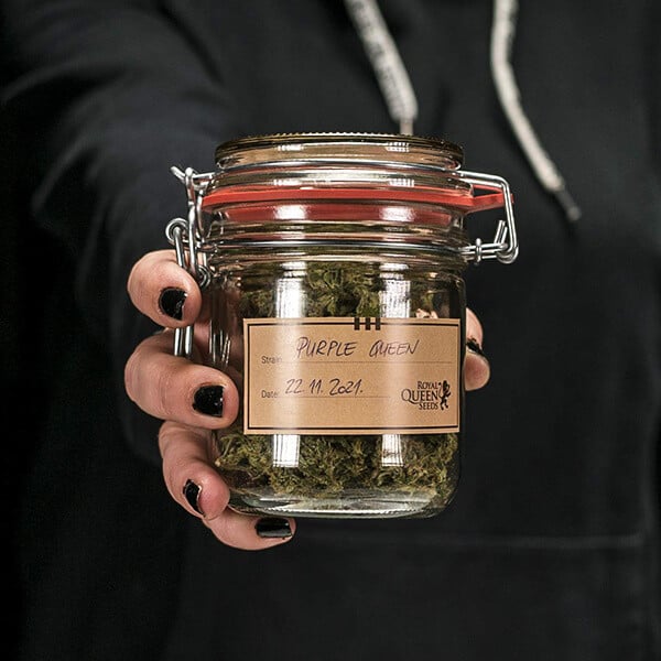 Kush Me Glass Jar