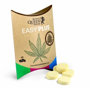 ᐅ Comprar Semillas marihuana cannabis granel RB Amnesia (50u) para cultivos  de marihuana cannabis. Tienda Growshop Online República Botánica