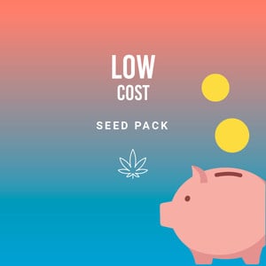 Low Cost Pack