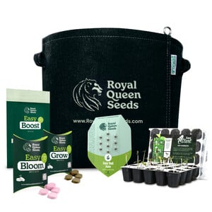 Beginner Cannabis Grow Kit