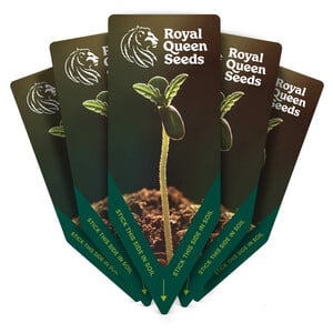 Eco Plant Labels 5 PCS