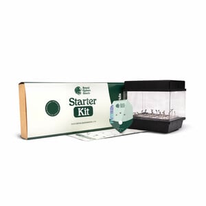 Starter Kit F1 Hybrid | Hyperion Seeds