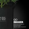 Grow Bag Pro
