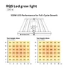 RQS LED Grow Light 320 W