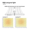 RQS LED Grow Light 450 W