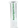 Glass Bong