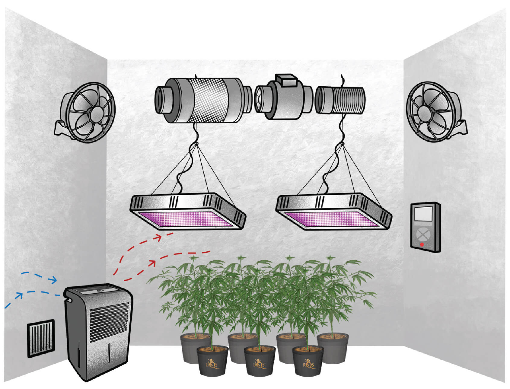 Dehumidifiers: Why You Need One To Grow Great Cannabis - RQS Blog