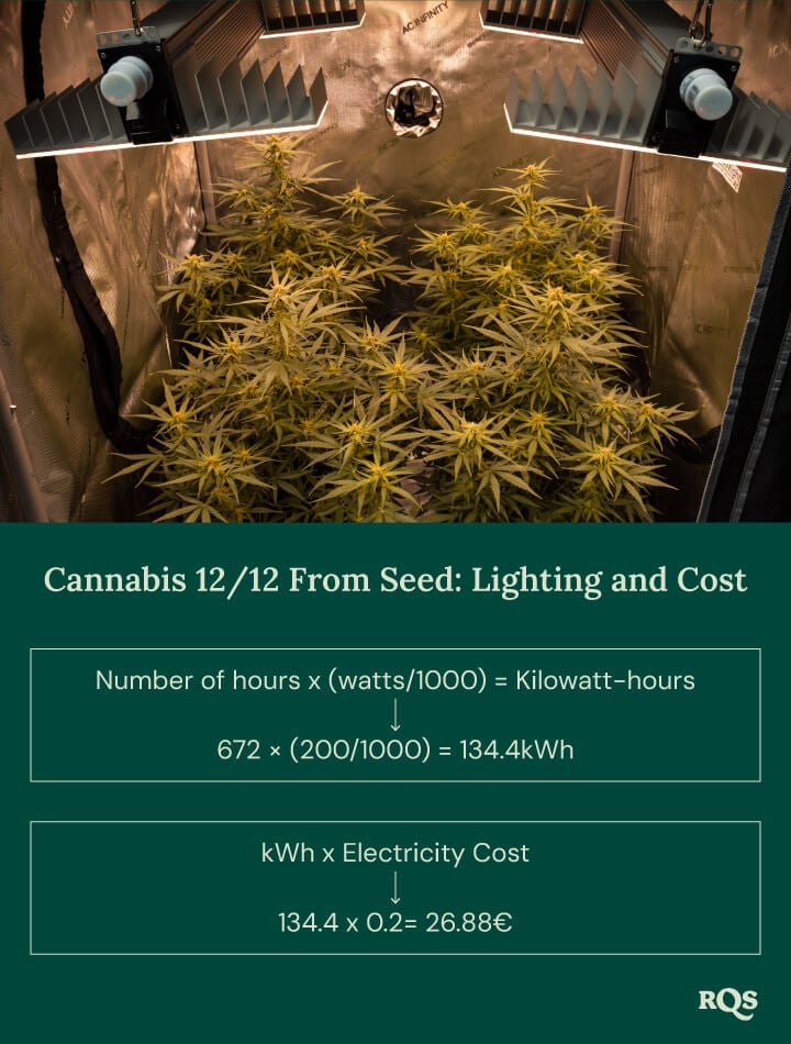 12-12 cannabis light cycle cost