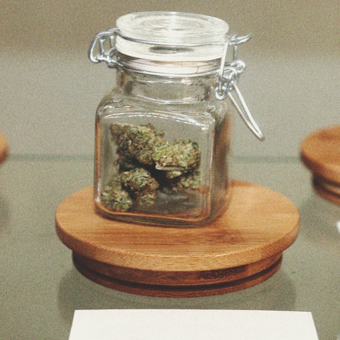 How To Detect A Mouldy Weed When You’re Buying How To Detect A Mouldy Weed When You’re Buying