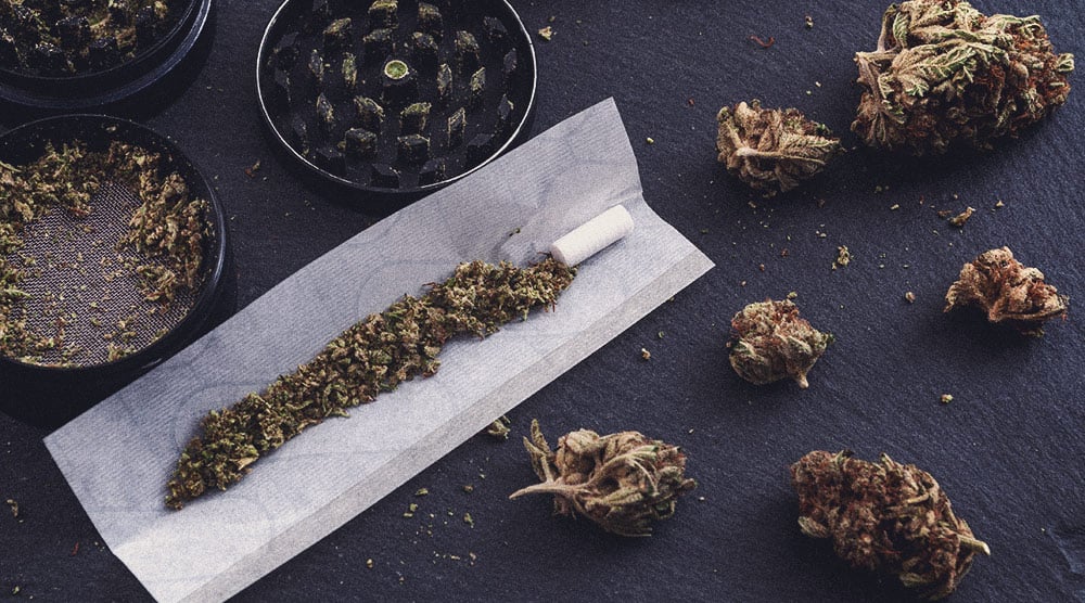 Women Using Cannabis To Improve Their Lifestyle Women Using Cannabis To Improve Their Lifestyle