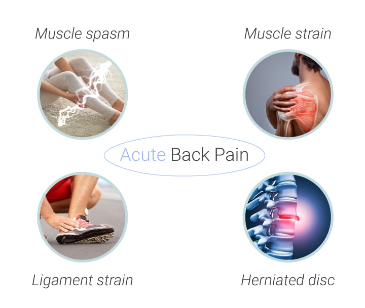 Common Causes and Types of Back Pain Common Causes and Types of Back Pain