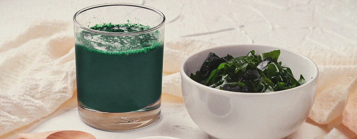 Why Seaweed Is a Superfood for Cannabis Plants Why Seaweed Is a Superfood for Cannabis Plants