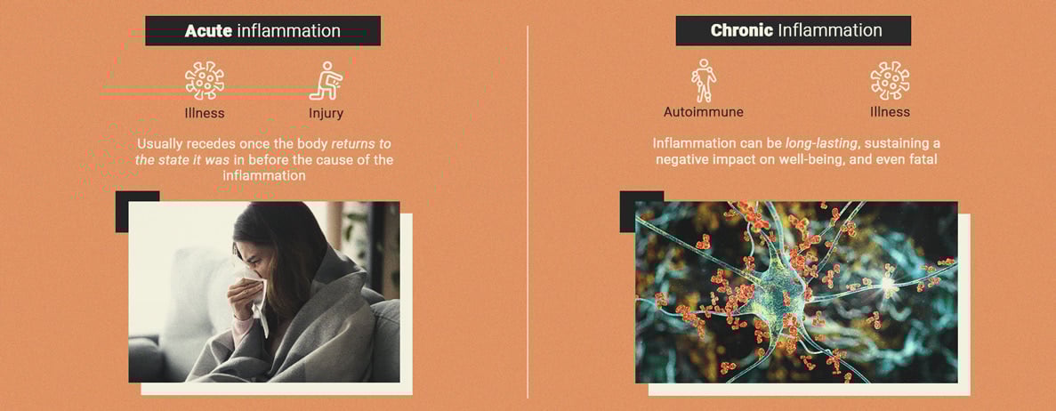 Cannabis and Inflammation: What's the Relationship? Cannabis and Inflammation: What's the Relationship?