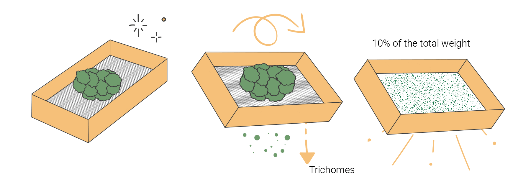 How to Make Hash at Home How to Make Hash at Home