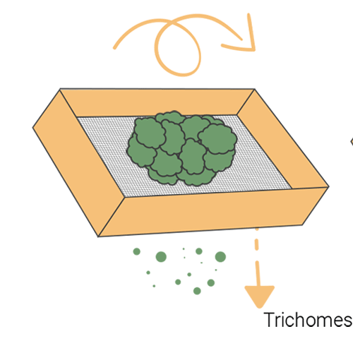 How to Make Hash at Home How to Make Hash at Home