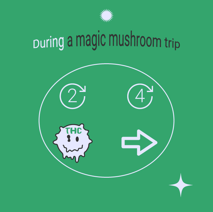 How to Use Cannabis and Magic Mushrooms Together