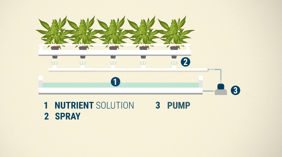 Aeroponics System