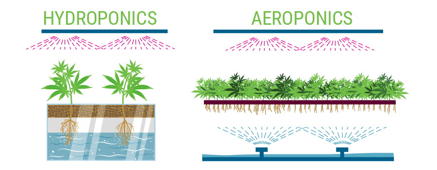 Hydroponic Grow Tent Central Coast