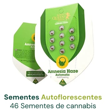 sementes-cannabis-autoflorescentes