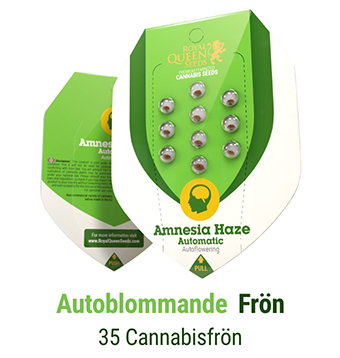 AUTOBLOMMANDE CANNABIS FRÖN