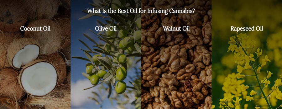 Best oils for infusing cannbis