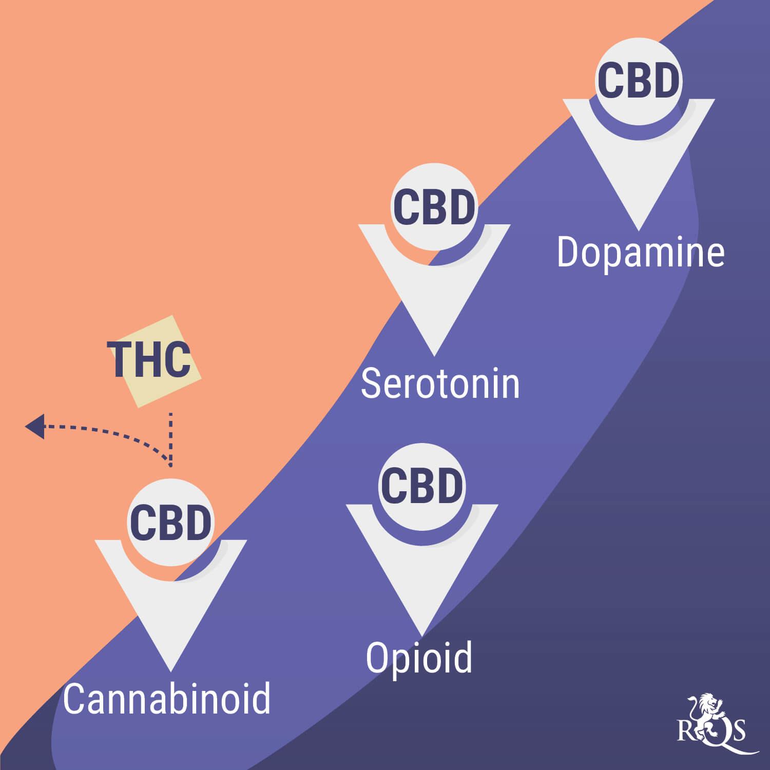 How Cannabis Interacts With Antidepressants