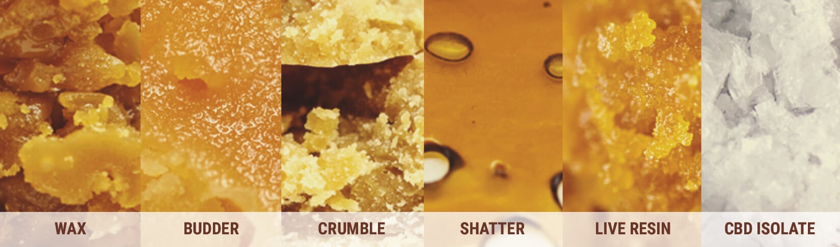 What Types of CBD Concentrates Are There? What Types of CBD Concentrates Are There?
