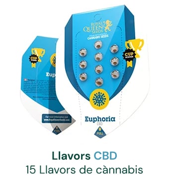 Llavors cbd cannabis