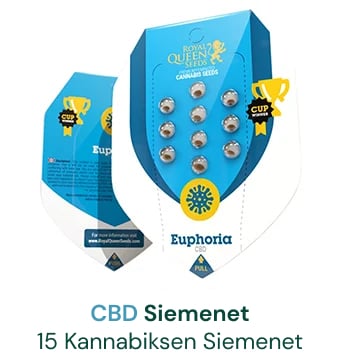 cbd-kannabiksen-siemenet