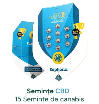 cbd seminte