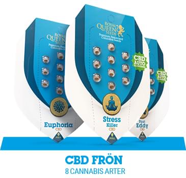 CBD CANNABIS FRÖN